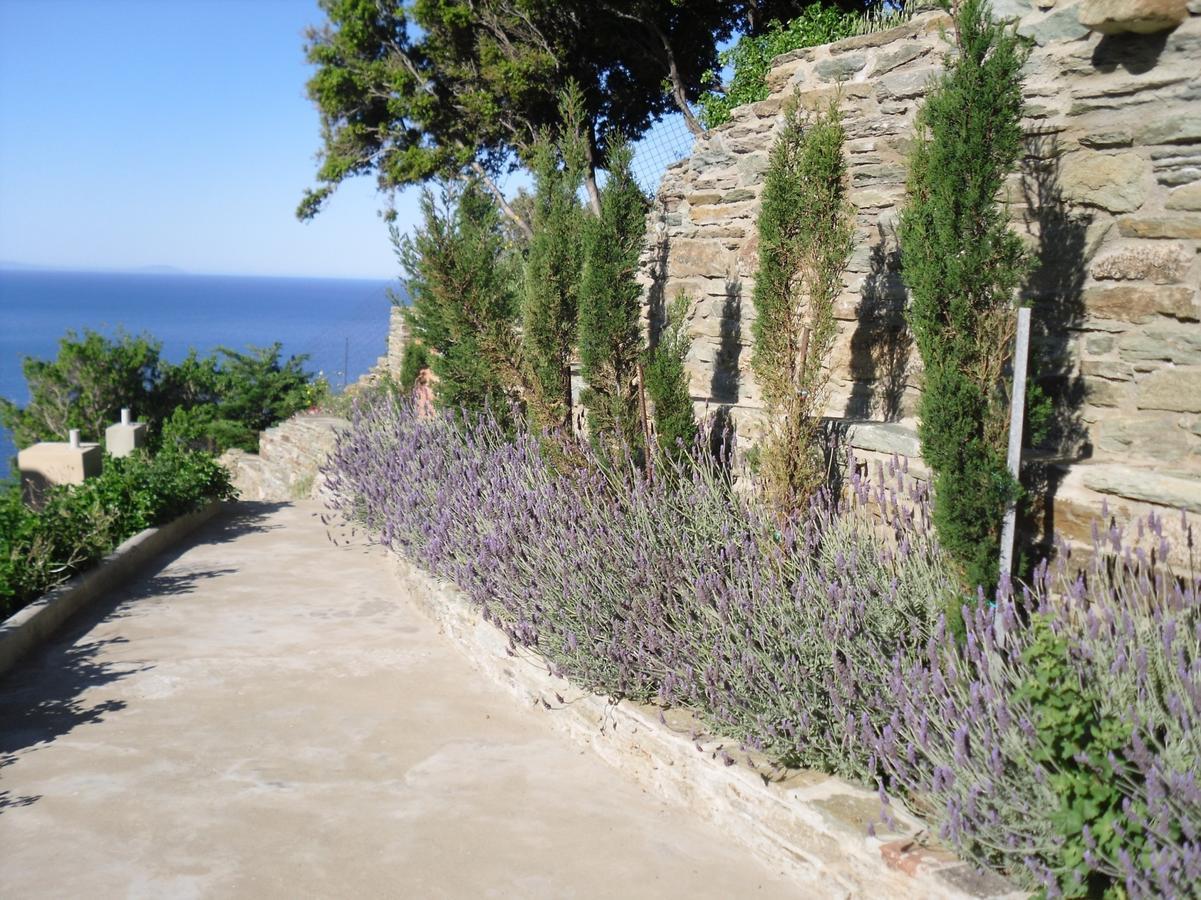 Aparthotel Aegean Castle Andros - Adults Only Agia Eleousa Exterior foto